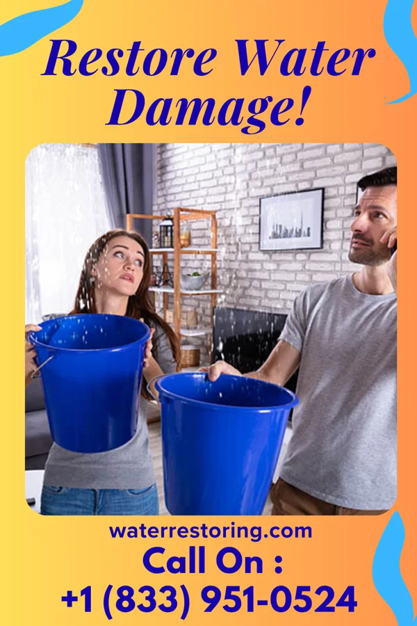 water restoration Expert Water Repair Contractors Brooklyn Center